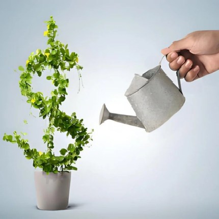 Align Your Investments with Cosmic Timing: Taoist Advisory Services
